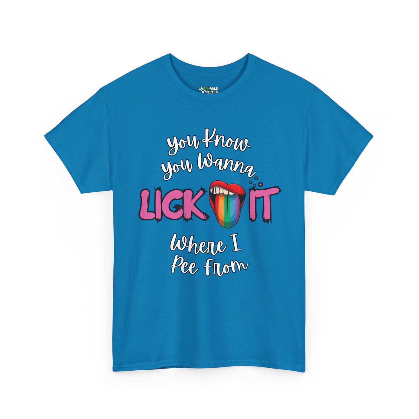 LGBTQ T-Shirt | Funny Offensive Shirts For Adults
